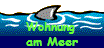 Wohnung 
am Meer