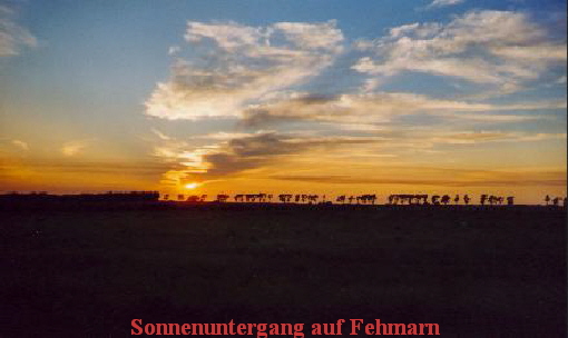 Sonnenuntergang auf Fehmarn